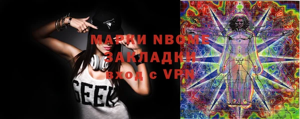 хмурый Липки
