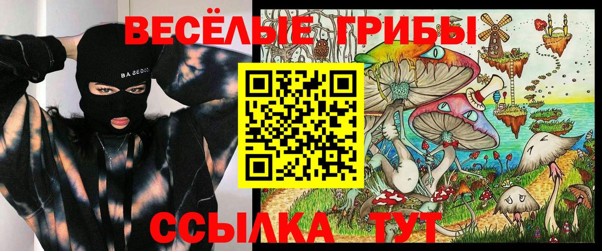 Майский  Псилоцибиновые грибы прущие грибы  Вход с VPN 